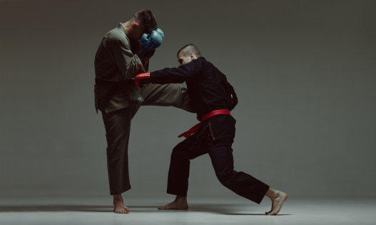 Adult's martial arts class